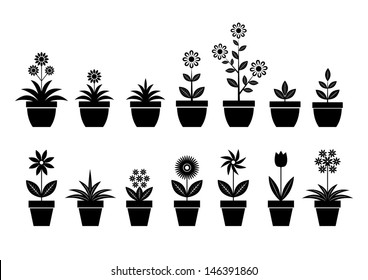 Flower icons on white background