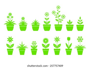 Flower icons on white background
