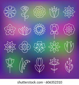 Flower icons with outline style vector design elements