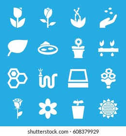 Flower icons set. set of 16 flower filled icons such as sunflower, rose, hand with seeds, honey, water hose, plant in pot, pond, square plant pot, plant, leaf