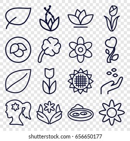 Flower icons set. set of 16 flower outline icons such as leaf, sunflower, hand with seeds, pond, clover