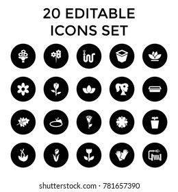 Flower icons. set of 20 editable filled flower icons such as leaf, rose, water hose, pot for plants, plant in pot, gloves, plant. best quality flower elements in trendy style.