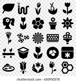 Flower icons set. set of 25 flower filled icons such as leaf, sunflower, honey, rose, water hose, pot for plants, pond, plant