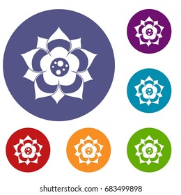 Flower icons set