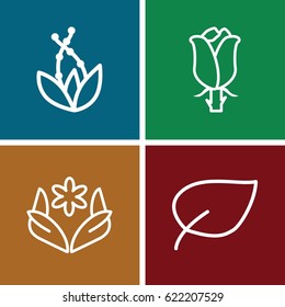 Flower icons set. set of 4 flower outline icons such as flower, rose, leaf