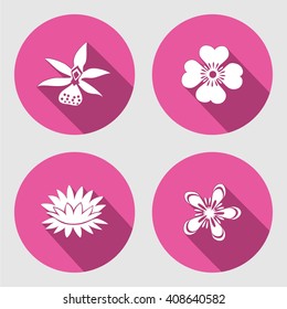 Flower icons set. Anemone, chamomile, forget-me-not, lily, water-lily, orchid. Floral symbols. Round circle flat sign  with long shadow. Vector