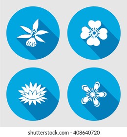 Flower icons set. Anemone, chamomile, forget-me-not, lily, water-lily, orchid. Floral symbols. Round circle flat sign  with long shadow. Vector