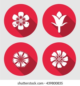 Flower icons set. Chamomile, daisy, blue poppy, cloves. Floral symbols. Round circle flat sign with long shadow. May be used in cuisine. Vector