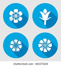 Flower icons set. Chamomile, daisy, blue poppy, cloves. Floral symbols. Round circle flat sign with long shadow. May be used in cuisine. Vector