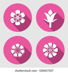 Flower icons set. Chamomile, daisy,  poppy, Cloves. Spring flowers. Floral symbols with leaves. Colored signs. May be used in cuisine. Vector isolated.