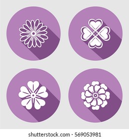 Flower icons set. Chamomile, daisy, lilac. Floral symbols. Round circle flat sign with long shadow. May be used in cuisine. Vector