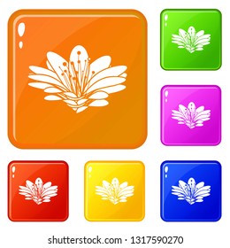 Flower icons set collection vector 6 color isolated on white background
