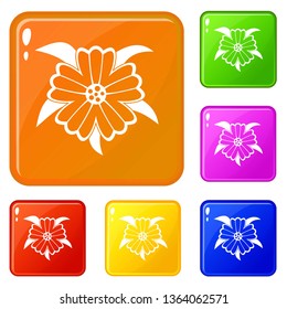 Flower icons set collection vector 6 color isolated on white background