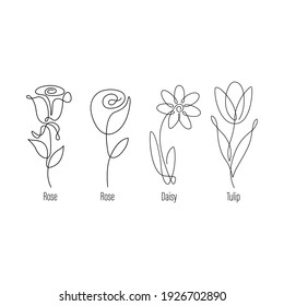 Flower icons set. Contains icons. Modern Thin Contour Line