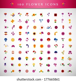 Flower Icons Set - Isolated On Gray Background - Vector Illustration, Graphic Design Editable For Your Design.