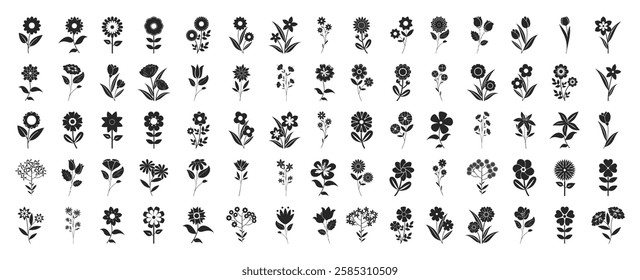 Flower icons set isolated on transparent background. Garden illustration sign collection. Flora symbol or logo