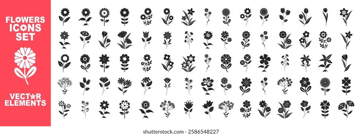 Flower icons set isolated on transparent background. Garden illustration sign collection. Flora symbol or logo