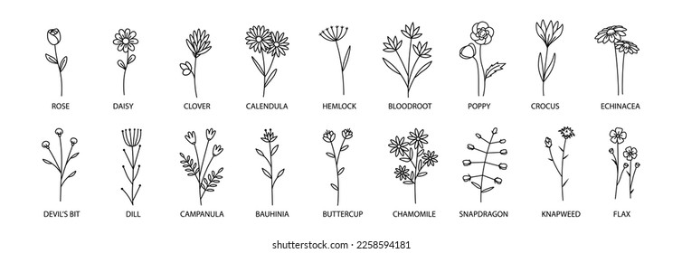 Flower icons set. Line art style.