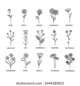 Flower icons set. Line art style.