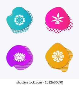 Flower icons set on liquid colored badges. Waterlily, orchid, daisy. chamomile. Spring and summer flowers. Floral modern symbols. Vector isolated
