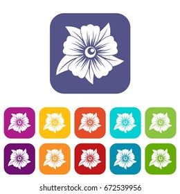 Flower icons set vector illustration in flat style In colors red, blue, green and other