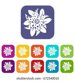 Flower icons set vector illustration in flat style In colors red, blue, green and other