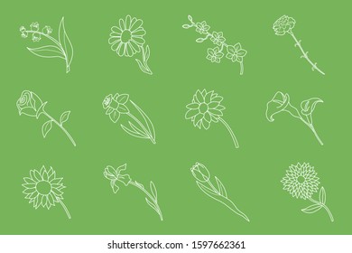 Flower Icons set - Vector outline symbols of rose, tulip, chamomile, carnation, iris, callai, orchid, narcissus, sunflower, chrysanthemum and astra for the site or interface