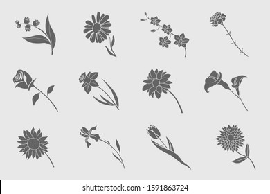 Flower Icons set - Vector solid silhouettes of rose, tulip, chamomile, carnation, iris, callai, orchid, narcissus, sunflower, chrysanthemum and astra for the site or interface