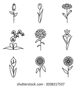 Flower icons for flower shop or tattoo. Rose, tulip, chamomile, orchid, hydrangea, iris, calla, sunflower, chrysanthemum.