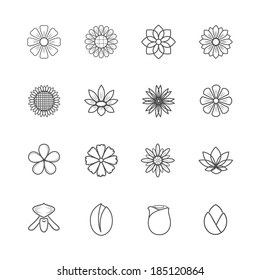 Flower Icons Vector