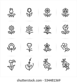 Flower Icons With White Background 