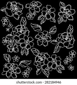 Flower illustration