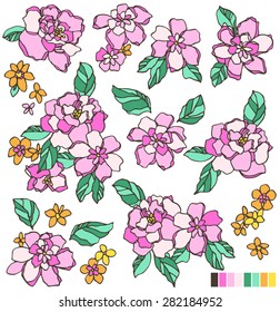 Flower illustration