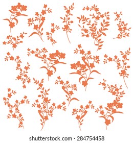 Flower illustration