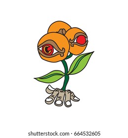flower illustration