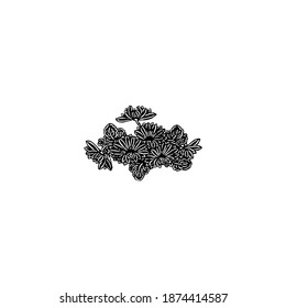 Flower Illustration Black White Vector