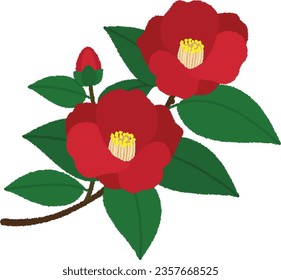 Flower illustration. Camellia has five petals of red or purple-red flowers, which bloom downward one by one from the axils of the leaves at the tips of the branches.