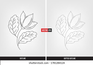 Flower illustration color and trace, tracing worksheet for preschool and kindergarten vector