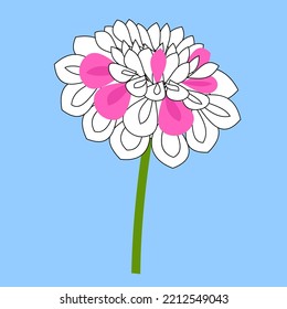 Flor, ilustración, libro de colorear, vector