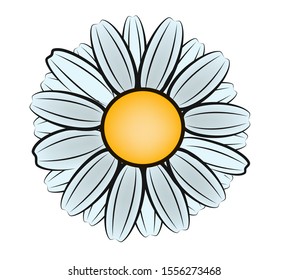 Flower Illustration. Daisy Icon. Vector Illustration. EPS 10.