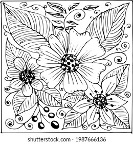 Flower illustration for design. Summer drawing flowers, insect, black line. Floral  graphics.Frame of branches, flowers.Сoloring of branches.