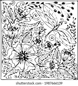 Flower illustration for design. Summer drawing flowers, insect, black line. Floral  graphics.Frame of branches, flowers.Сoloring of branches.