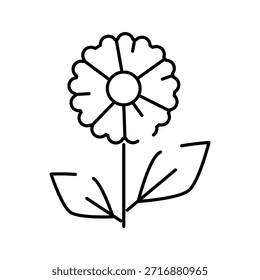 Blütengrafik mit einer einzelnen Blüte mit Blütenblättern, Stängeln und Blättern mit minimalen Umrissstrichen auf sauberem, weißem Hintergrund, die Natur, Wachstum und Einfachheit darstellen