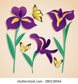 Flower Illustration : Iris