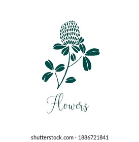 Flower illustration with line art on white backgrounds