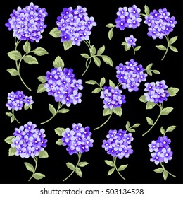 Flower illustration material