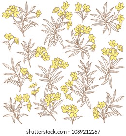 Flower illustration material,
I designed a flower,
