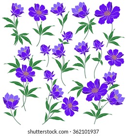 Flower illustration object