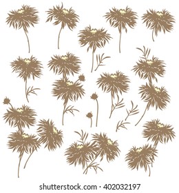 Flower illustration object
