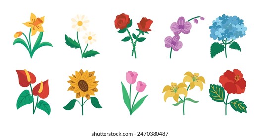 Conjunto de ilustración floral Colección de Paquete